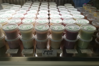 Yoghurt met ananas 200gr